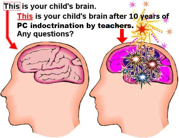 PC is a virus that is killing common sense in the West PC is a virus that is killing common sense in the West