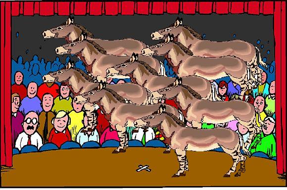 When addressed at all, Republican voters are cast as a braying mob in thrall to the personality cult of a reality TV star, conservative media, Facebook memes, malign foreign influence When addressed at all, Republican voters are cast as a braying mob in thrall to the personality cult of a reality TV star, conservative media, Facebook memes, malign foreign influence