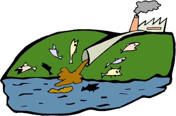 The EPA has become the Environmental Perversion Agency, deregulating everything so that the polluters and exploiters and contaminaters are having a field day The EPA has become the Environmental Perversion Agency, deregulating everything so that the polluters and exploiters and contaminaters are having a field day